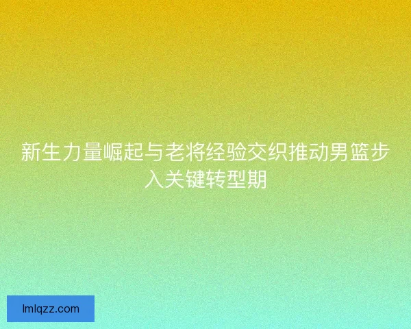 新生力量崛起与老将经验交织推动男篮步入关键转型期